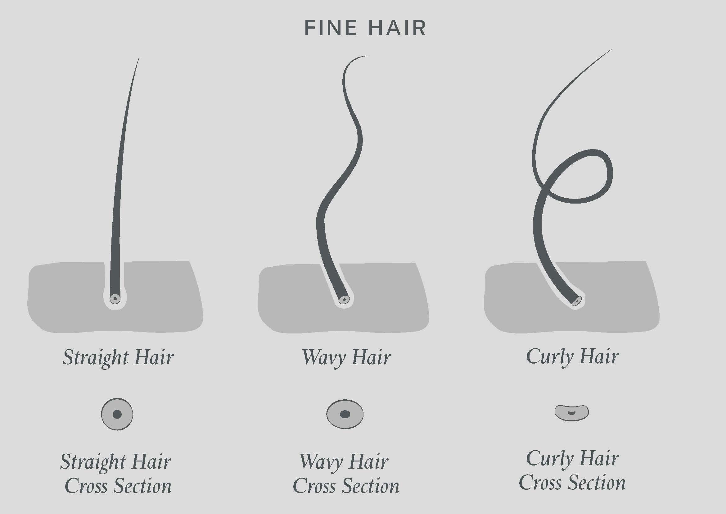 What Is Fine Hair How To Style And Care For Fine Hair Philip Kingsley